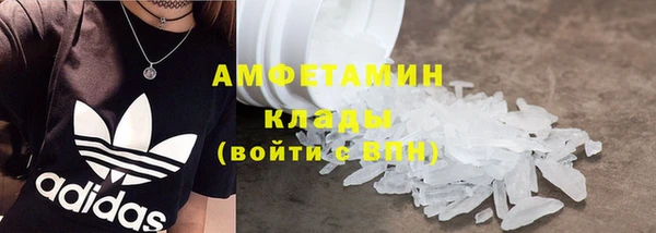 сатива Беломорск