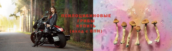 метамфетамин Белокуриха
