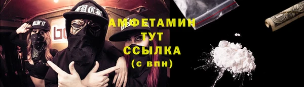 сатива Беломорск