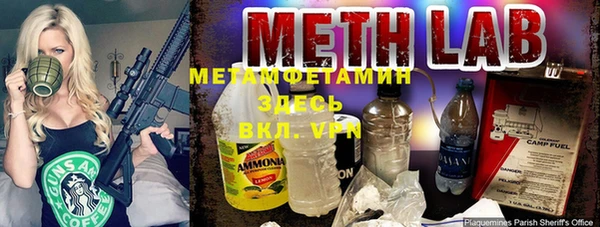 сатива Беломорск