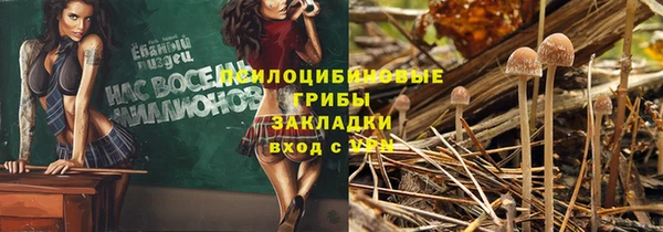 метамфетамин Белокуриха