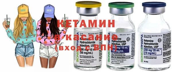 сатива Беломорск