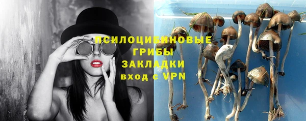 метамфетамин Белокуриха