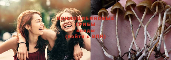 сатива Беломорск